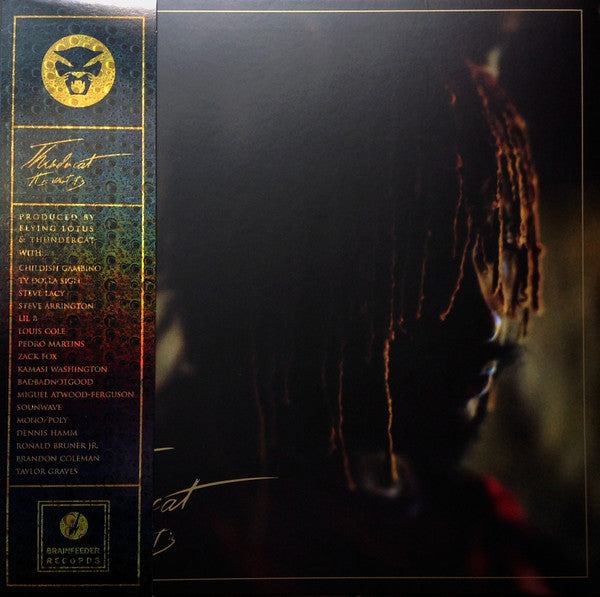 Thundercat – It is What it is